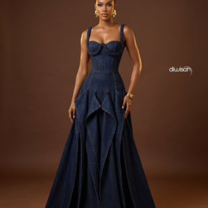 Zaria denim dress